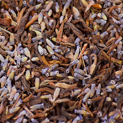 Cézanne | Thé vert Jasmin bio